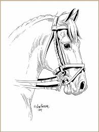 Die besten malvorlagen findest du auf jetztmalen.de! Lena Furberg Horses Dressage Horse Horse Drawings Horse Coloring Pages Horse Coloring