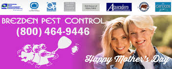 When you have a pest control problem you need it solved right now! What Mom Really Wants For Mother S Day Pest Control Brezden Pest Control