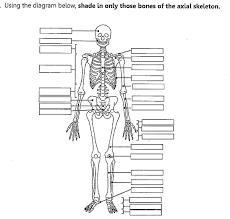 Skeletal System Fill In The Blank Worksheets Skeletal System Skeletal System Printable Skeletal System Anatomy