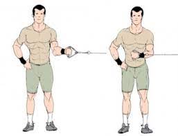 Preventing Rotator Cuff Injury | Senior Tennis And Fitness