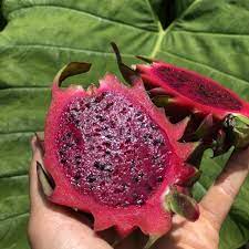 In this video, you will be surprised to know how dragon fruit can boost your metabolism and speed up weight loss! Red Dragonfruit Pitaya Box Miami Fruit