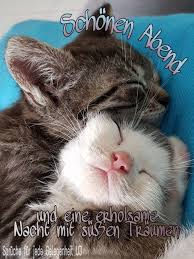 Pin Von Kerstin Auf Abend Gute Nacht Grusse Advend Susse Tiere Niedliche Tiere Tiere