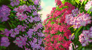 The anime fantasy hidden gem mary and the witch's flower is currently streaming on netflix, and it's a perfect watch for lovers of studio ghibli's whimsical animation style. Studio Ghibli The Floral Art Of Studio Ghibli