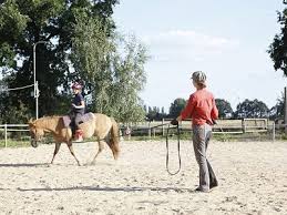 Reiterhof Niederlausitz Urlaub Auf Dem Reiterhof Naturschwimmbad Reiten