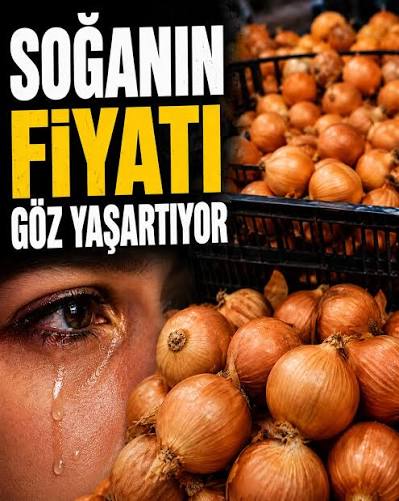 Soğan Fiyatları Yine Gündemde: Cebimizi Neden Bu Kadar Yakıyor?
