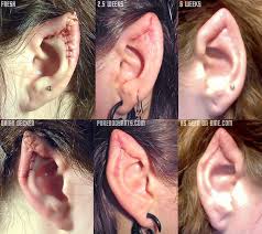 With swimming abilities and water breathing, sea elves communicate subtly with creatures of water. Ear Pointing Bme Tattoo Piercing And Body Modification News