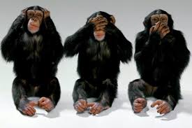 Maybe you would like to learn more about one of these? Bild Drei Affen