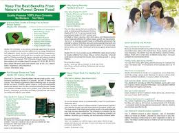 Une personne en bonne santé peut s'instruire, travailler et subvenir à ses besoins et à ceux de sa famille. Professional Brochure Writing By Experienced Singapore Copywriter