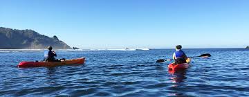 Lincoln city follows highway 101 for seven miles, with delights to be found from the high cliffs of. Top 5 Outdoor Activities In Lincoln City Oregon Safaritownsurf