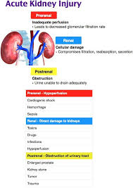 Acute Kidney Injury Prerenal Intrinsic Postrenal Dialysis Nurse Emergency Nursing Medical Surgical Nursing