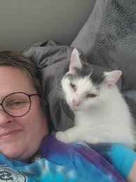 Is your cat losing appetite or tired of drops?