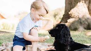 Der hund war auf zahlreichen familienfotos zu sehen, unter anderem auf einem der ersten offiziellen bilder von prinz george. Aus Diesem Ruhrenden Grund Haben Kate Und William Hund Lupo Angeschafft