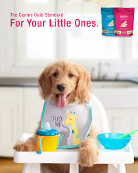 Fromm family large breed weight management gold food for dogs is formulated to meet the nutritional levels established by the aafco dog food nutrient profiles for maintenance. Fromm Family Foods Have You Recently Adopted A New Puppy Get Them Started On The Right Paw With Our Puppy Gold And Large Breed Puppy Gold Recipes Learn More Here Https Bit Ly 3hgrfna