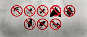 Other tips for getting rid of ants in the house. Effective Natural Ways To Get Rid Of Pests Zameen Blog