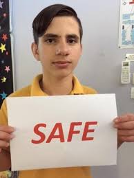 SAFE, RESPECTFUL LEARNERS Sadleir Public School
