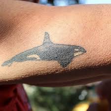 A los angeles trouble shooter is called in to solve problems of the city's elite. Tattoos In The Open Water World Open Water Swimming Association