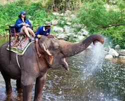 Kamu tinggal mencari seseorang yang memegang papan namamu dan kamu akan diantar ke manapun kamu mau selama liburan di jogja. Jalur Lintas Alam Terbaik Di Thailand Wifi Republic By Travelwifi