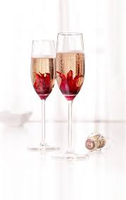 And Then Hibiscus Hibiscus Flowers Champagne
