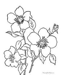 Printable Coloring Sheets 010 Flower Coloring Pages Flower Drawing Coloring Pages Free download and use them in in your design related work. flower coloring pages flower drawing