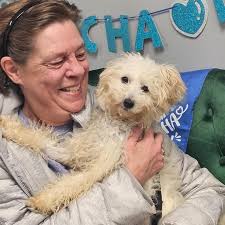 Buffalo CARES Animal Rescue