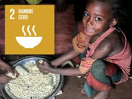 Resultado de imagen para hambre africa