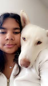 Lost dogs in Catoosa County area