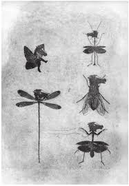 PDF) The Evolutionary Review: Art, Science, Culture (Vol 3, 2012)