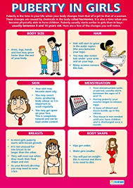 Do the same for the new layer and name it something along the lines of vector. this helps to differentiate the two layers and helps you track now, let's spruce up your sketch with some colors. Puberty In Girls Pshe Graphics Card A Wall Poster In High Poster A1 840mmx584 Mm Amazon De Business Industry Science