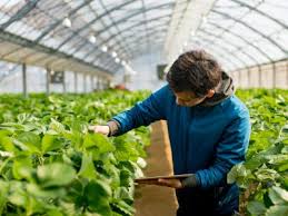 Crops can withstand a little damage from insects, diseases and weeds, but if the pest takes over the farm field, it can have a big impact on the here are some of the prevention tools in a farmer's integrated pest management (ipm) toolbox: International Pest Control Magazine Reporting On Global Pest Control Issues For Over 60 Years International Pest Control Magazine