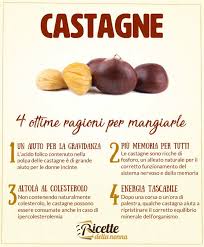 Nota + il tempo di ammollo delle castagne. Castagne Proprieta Benefici E Controindicazioni Ricette Della Nonna