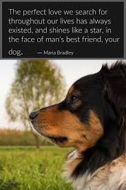 Check spelling or type a new query. Cute Pet Quotes Tumblr Dog Best Friend Tumblr Dogtrainingobedienceschool Com