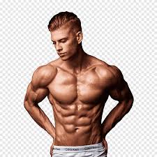 Look at some of the most famous aesthetic . Muscle Bodybuilding Youtube Aesthetics The Weekend Movie Aesthetics Physical Fitness English Png Pngegg