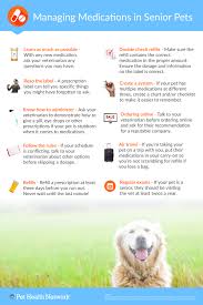 Tips For Managing Your Pets Medication Poster Info Graphic