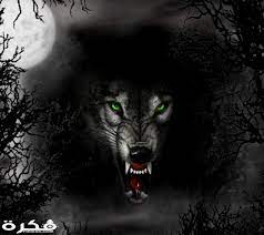 Check spelling or type a new query. ØµÙˆØ± Ø®Ù„ÙÙŠØ§Øª Ø°Ø¦Ø§Ø¨ Ø¬Ù…ÙŠÙ„Ø© 2021 Ù…ÙˆÙ‚Ø¹ ÙÙƒØ±Ø©