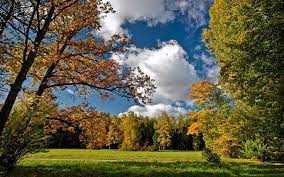 Computers Wallpapers Free Download Autumn Landscape Computer Wallpaper Desktop Wallpapers Nature Wallpaper