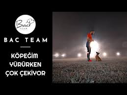 Kopegim Beni Cekiyor Sorunu Yurume Egitimi Degil Youtube