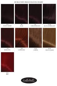 28 albums of burgundy hair colour chart explore thousands