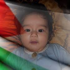 DIE HARD KETEK ULAR Saya mengamati dengan sangat intens upaya diehard pak  Prabowo untuk menyakinkan diri mereka sendiri bahwa Quick Count (QC) adalah  kebohongan semata. Saya salut dengan kegigihan pakar matematika dan