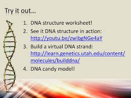 The Genetic Material Of Life Unit 3 Ppt Download