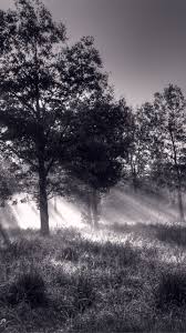 خلفيات طبيعة روعة خلفيات مناظر طبيعية روعة بدقة hd in 2021 nature nature wallpaper country roads