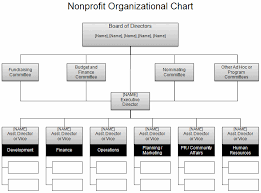 Download The Nonprofit Org Chart From Vertex42 Com