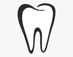 Dental Clipart Tooth Outline Png Tooth Outline 104476 Free Tooth Outline Tooth Clipart Clip Art