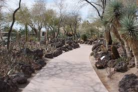 Next door is their cactus botanical garden showcasing over 300 species in scenically landscaped surrounds. Ethel M Botanical Cactus Garden Mapio Net