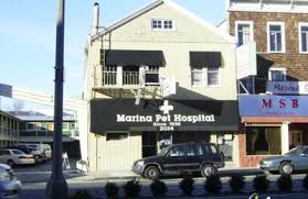 Banfield Pet Hospital 2024 Lombard St San Francisco Ca 94123 Yp Com