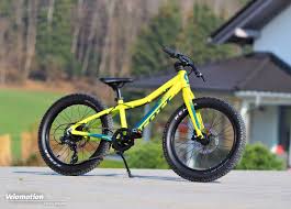 Test Scott Roxter 20 Mountainbike Im Mini Format Velomotion