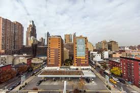 hell's kitchen: sizzling the new york