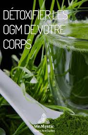 Detoxifier Les Ogm De Votre Corps Wemystic France Fruits Et Legumes Bio Detoxifiant Ogm