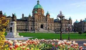 There's so much of ecotourism business that has whale watching, international ferry terminals, water taxi, float planes to offer to its visitors, etc. 11 Surreal Places To Visit In British Columbia You Cannot Miss In 2021