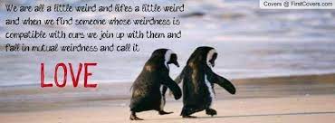 Standard they say penguins mate for life. Penguin Love Quotes Quotesgram