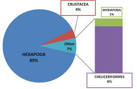 what is the largest group of animals socratic